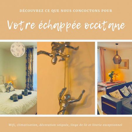 L'Echappee Occitane - Harmonie Et Douceur De Vivre - Clim Apartment Монтобан Екстериор снимка